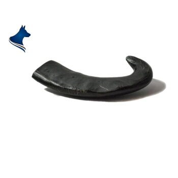 Büffel-Horn (1 Stück)