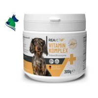 Vitamin Komplex (300g)