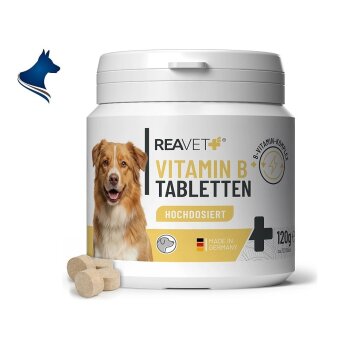 Vitamin B Tabletten (120 Stk)