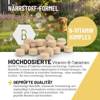 Vitamin B Tabletten (120 Stk)