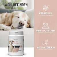 Darm Prebiotic (150g)