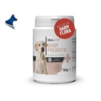 Darm Prebiotic (150g)