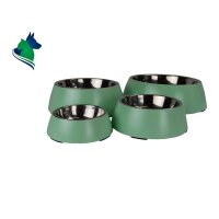 DoggyBowl Metallic Green