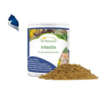 Intestin (50g)