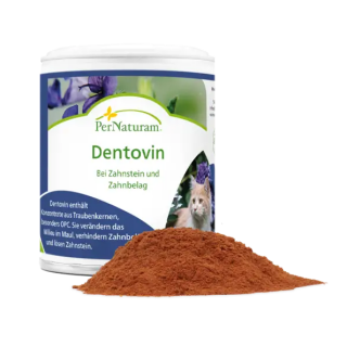 Dentovin (50g)