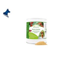 Perna Junior (500g)