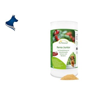 Perna Junior (1000g)