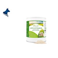 Lecithin mit Kieselerde (500g)