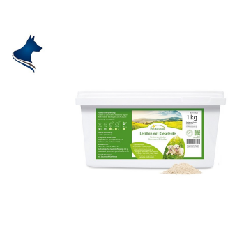 Lecithin mit Kieselerde (1000g)