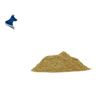 Perna Adult