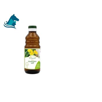 Bio-Löwenzahnsaft (250ml)