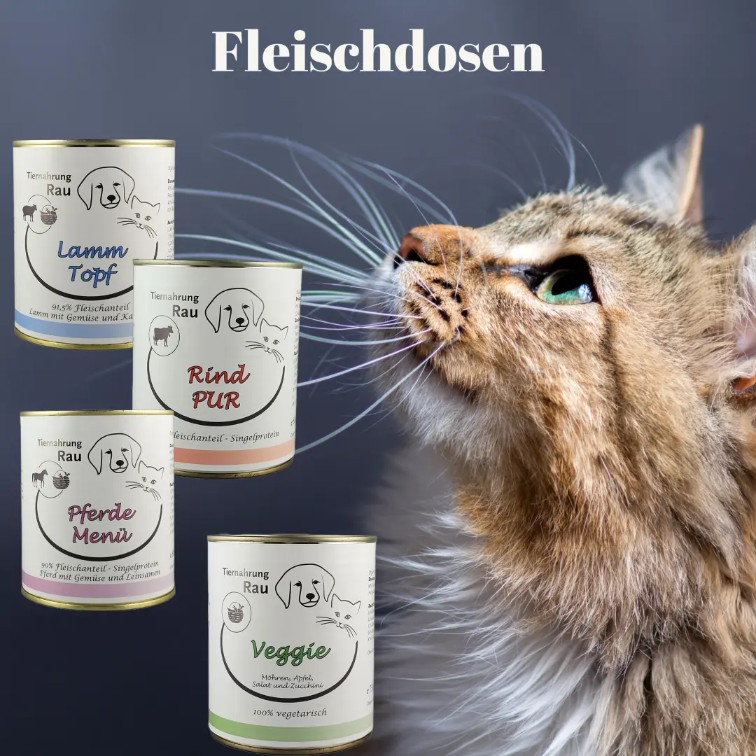 FleischdosenW.webp