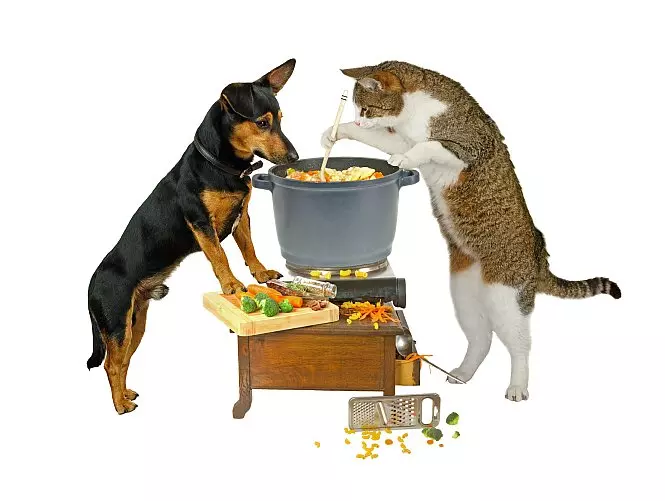 futterfleisch24 Hund und Katze die Topfgucker.webp